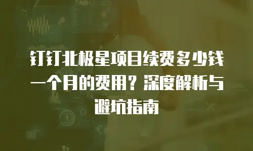 钉钉北极星项目续费多少钱一个月的费用？深度解析与避坑指南