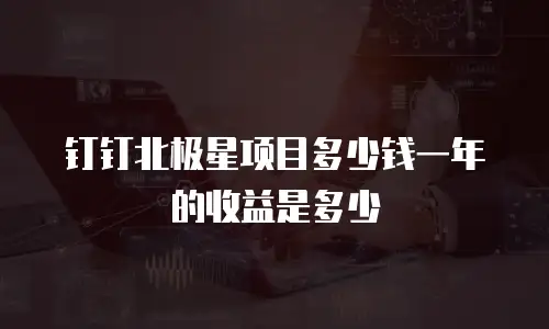 钉钉北极星项目多少钱一年的收益是多少
