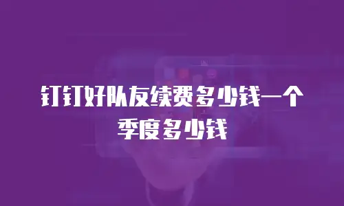 钉钉好队友续费多少钱一个季度多少钱