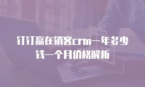 钉钉赢在销客crm一年多少钱一个月价格解析