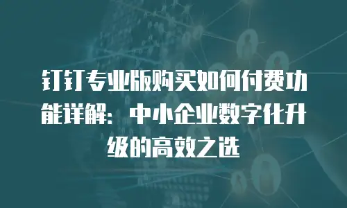 钉钉专业版购买如何付费功能详解：中小企业数字化升级的高效之选