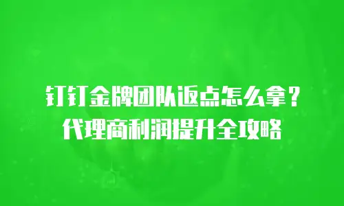 钉钉金牌团队返点怎么拿？代理商利润提升全攻略
