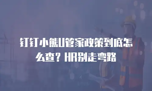 钉钉小熊U管家政策到底怎么查？HR别走弯路