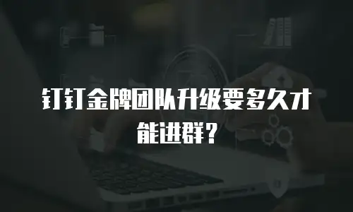 钉钉金牌团队升级要多久才能进群？