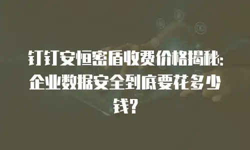 钉钉安恒密盾收费价格揭秘：企业数据安全到底要花多少钱？
