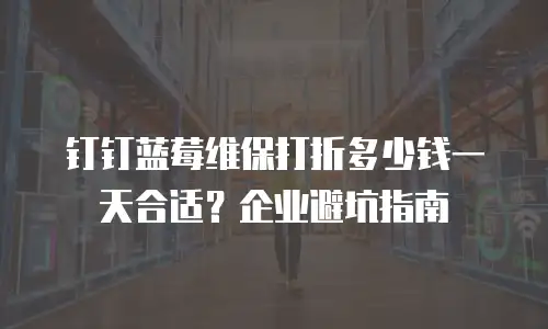 钉钉蓝莓维保打折多少钱一天合适？企业避坑指南
