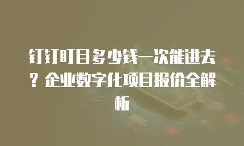 钉钉盯目多少钱一次能进去？企业数字化项目报价全解析