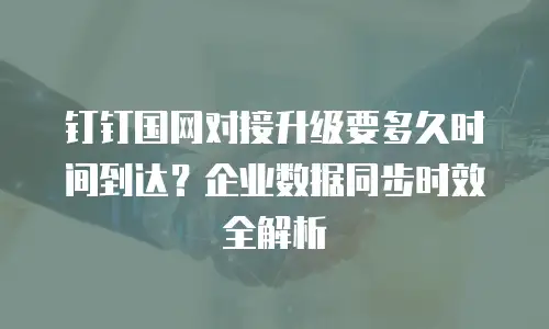 钉钉国网对接升级要多久时间到达？企业数据同步时效全解析