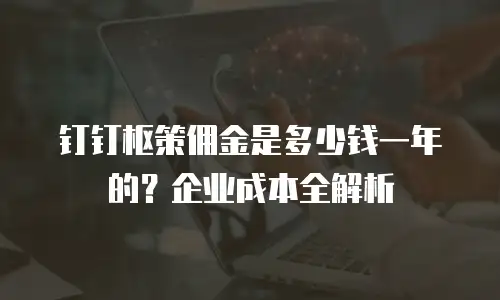 钉钉枢策佣金是多少钱一年的？企业成本全解析