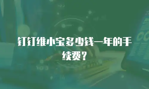 钉钉维小宝多少钱一年的手续费？