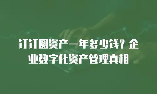 钉钉圆资产一年多少钱？企业数字化资产管理真相