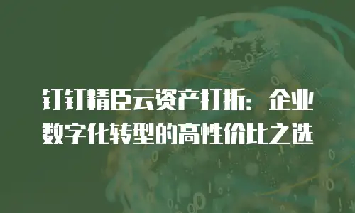 钉钉精臣云资产打折：企业数字化转型的高性价比之选