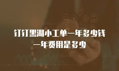 钉钉黑湖小工单一年多少钱一年费用是多少