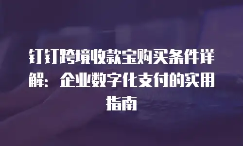 钉钉跨境收款宝购买条件详解：企业数字化支付的实用指南