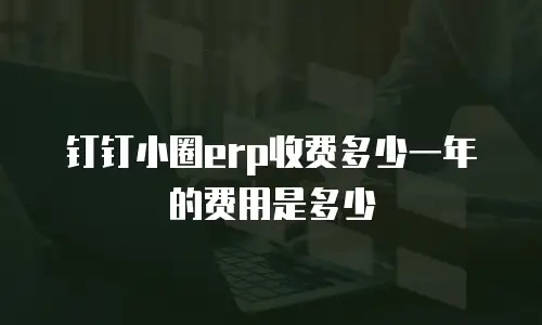 钉钉小圈erp收费多少一年的费用是多少