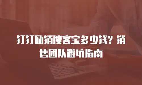 钉钉励销搜客宝多少钱？销售团队避坑指南