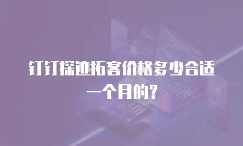 钉钉探迹拓客价格多少合适一个月的？