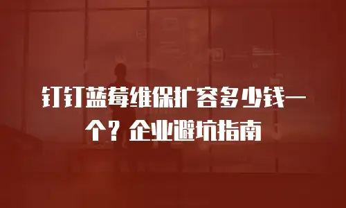 钉钉蓝莓维保扩容多少钱一个？企业避坑指南