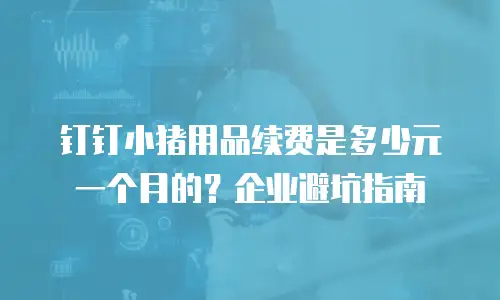 钉钉小猪用品续费是多少元一个月的？企业避坑指南