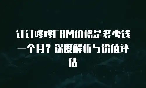 钉钉咚咚CRM价格是多少钱一个月？深度解析与价值评估
