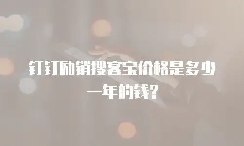 钉钉励销搜客宝价格是多少一年的钱？