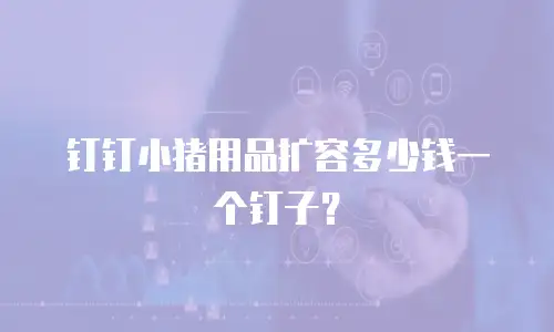 钉钉小猪用品扩容多少钱一个钉子？