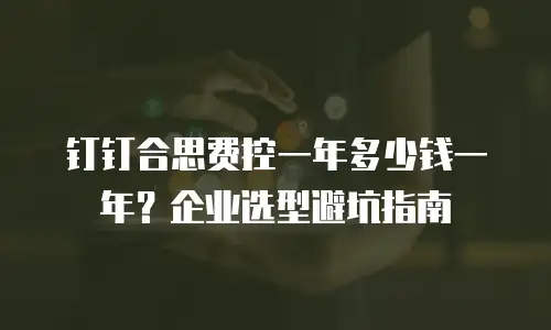 钉钉合思费控一年多少钱一年？企业选型避坑指南