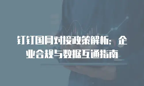 钉钉国网对接政策解析：企业合规与数据互通指南