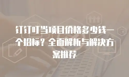 钉钉叮当项目价格多少钱一个招标？全面解析与解决方案推荐