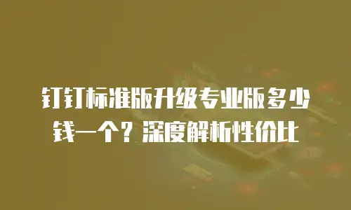 钉钉标准版升级专业版多少钱一个？深度解析性价比