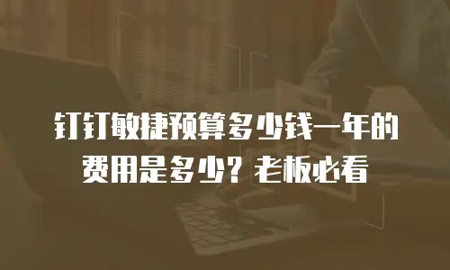 钉钉敏捷预算多少钱一年的费用是多少？老板必看