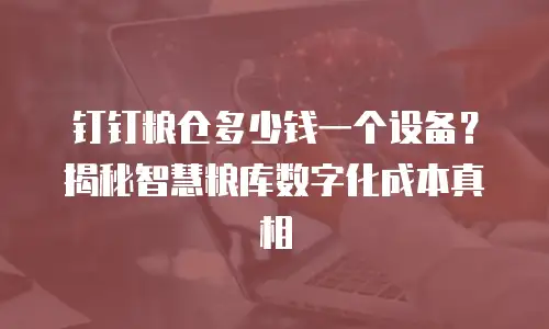 钉钉粮仓多少钱一个设备？揭秘智慧粮库数字化成本真相