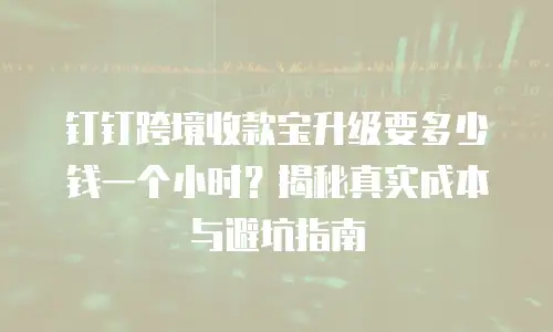 钉钉跨境收款宝升级要多少钱一个小时？揭秘真实成本与避坑指南