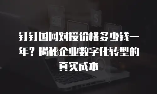 钉钉国网对接价格多少钱一年？揭秘企业数字化转型的真实成本