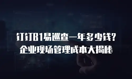 钉钉B1易巡查一年多少钱？企业现场管理成本大揭秘