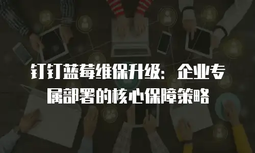 钉钉蓝莓维保升级：企业专属部署的核心保障策略