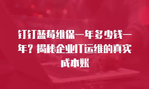钉钉蓝莓维保一年多少钱一年？揭秘企业IT运维的真实成本账