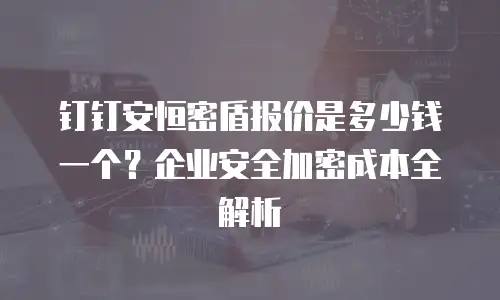 钉钉安恒密盾报价是多少钱一个？企业安全加密成本全解析
