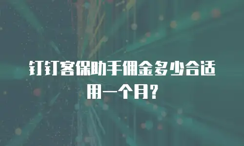 钉钉客保助手佣金多少合适用一个月？