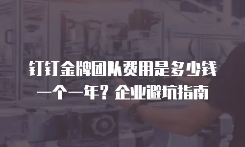 钉钉金牌团队费用是多少钱一个一年？企业避坑指南