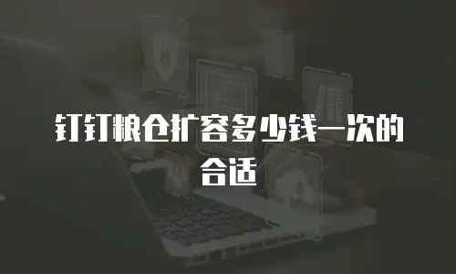 钉钉粮仓扩容多少钱一次的合适