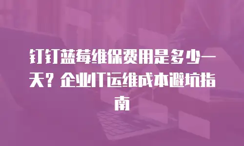 钉钉蓝莓维保费用是多少一天？企业IT运维成本避坑指南