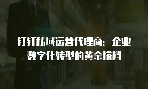 钉钉私域运营代理商：企业数字化转型的黄金搭档