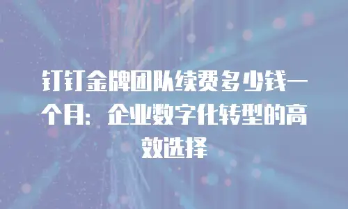 钉钉金牌团队续费多少钱一个月：企业数字化转型的高效选择