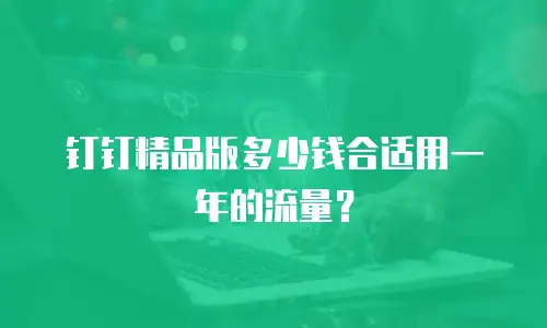 钉钉精品版多少钱合适用一年的流量？