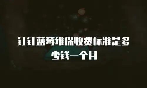 钉钉蓝莓维保收费标准是多少钱一个月