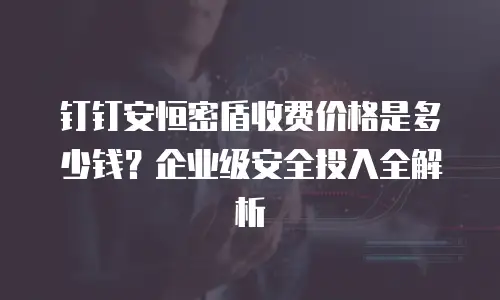 钉钉安恒密盾收费价格是多少钱？企业级安全投入全解析