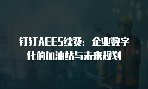 钉钉AEES续费：企业数字化的加油站与未来规划