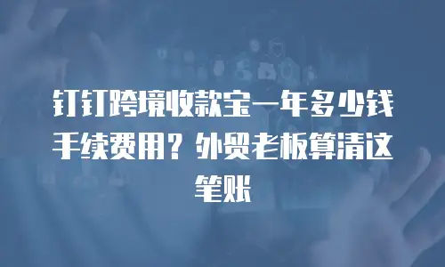 钉钉跨境收款宝一年多少钱手续费用？外贸老板算清这笔账
