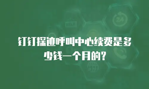 钉钉探迹呼叫中心续费是多少钱一个月的？